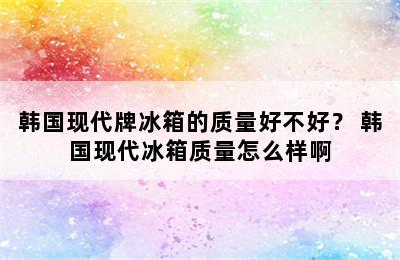 韩国现代牌冰箱的质量好不好？ 韩国现代冰箱质量怎么样啊